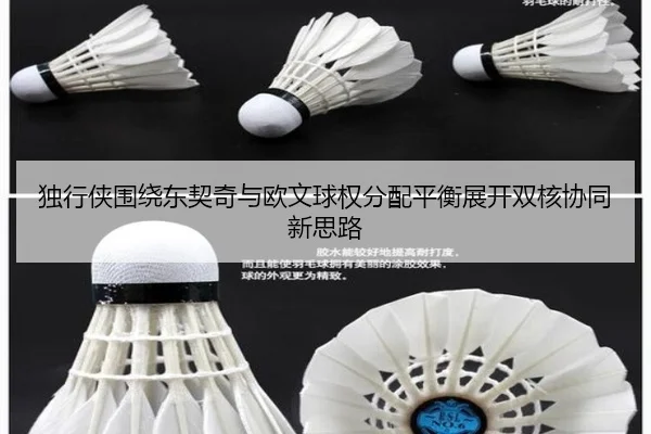 独行侠围绕东契奇与欧文球权分配平衡展开双核协同新思路