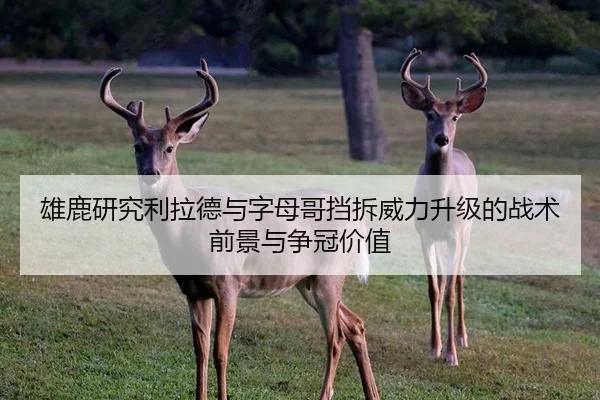 雄鹿研究利拉德与字母哥挡拆威力升级的战术前景与争冠价值（kaiyun）
